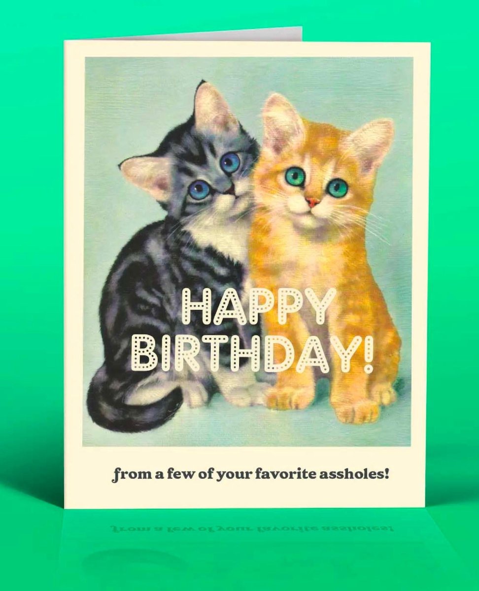 A**hole Cats Birthday Card - miamidrugpossession