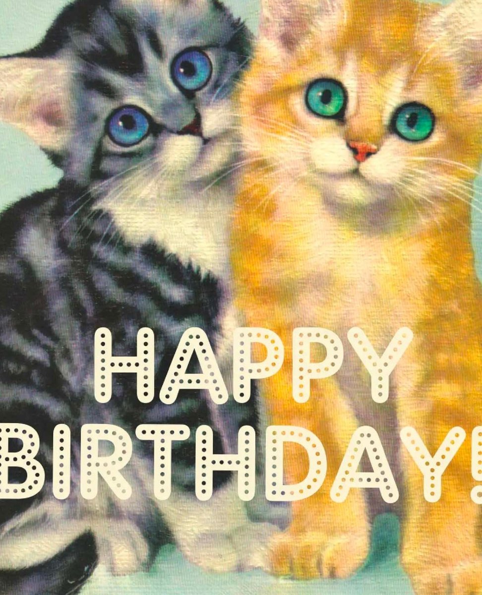 A**hole Cats Birthday Card - clearpathherbicide