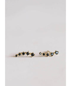 Black Crawler Earrings - clearpathherbicide