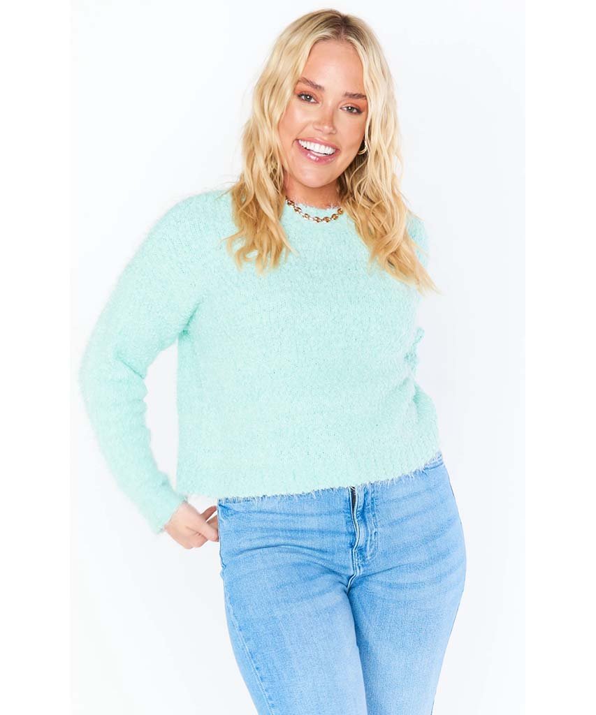 Cropped Varsity Sweater Mint - clearpathherbicide