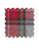 Eileen Relaxed Washed Red Plaid - clearpathherbicide