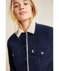 Ex - Boyfriend Sherpa Trucker Jacket Navy Cord - clearpathherbicide