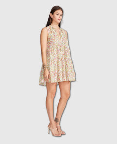 Frills and Florals Mini Dress - clearpathherbicide