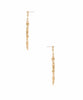 Hanging Drop Earring - clearpathherbicide