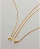 Highs & Lows Necklace Set (2) 14k Gold - clearpathherbicide