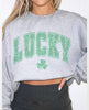 Lucky Clover Sweatshirt Heather Gray - clearpathherbicide