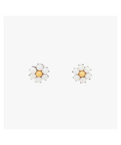 Pura Vida Assorted Stud Earrings - clearpathherbicide