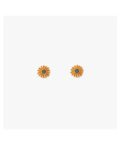 Pura Vida Assorted Stud Earrings - miamidrugpossession