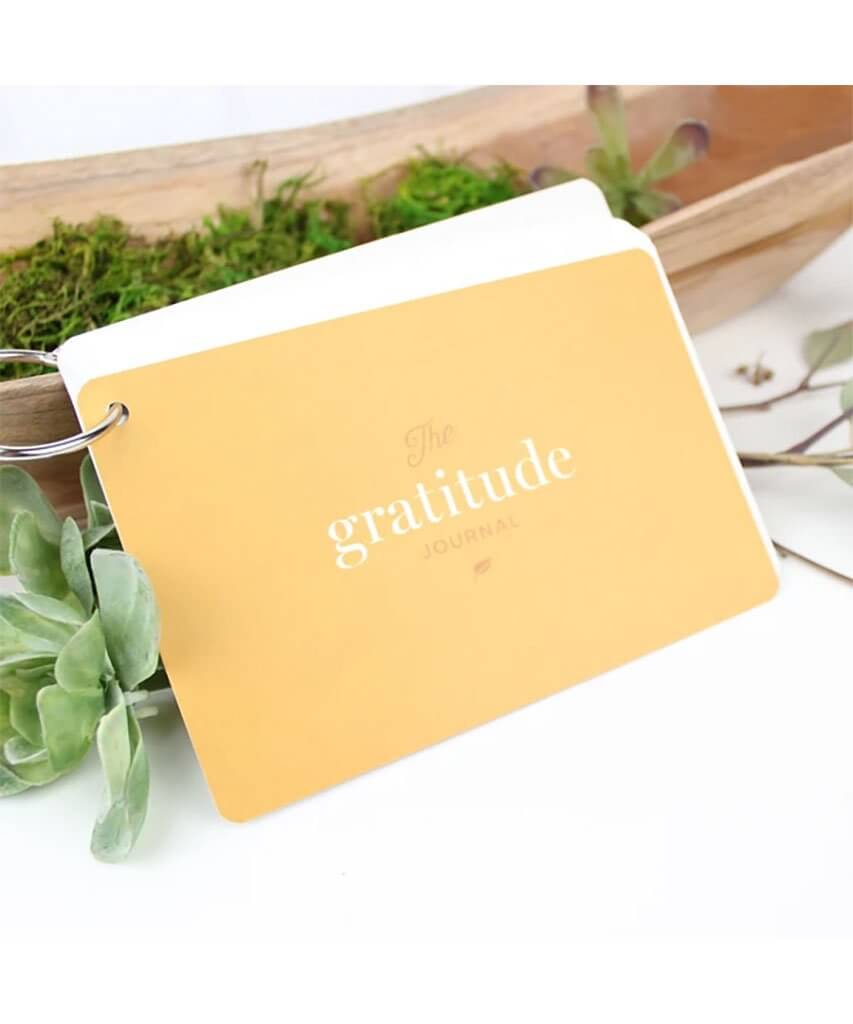 The Gratitude Journal - PINK ARROWS