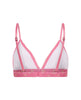 Utopia Tri Bralette Flamingo - clearpathherbicide