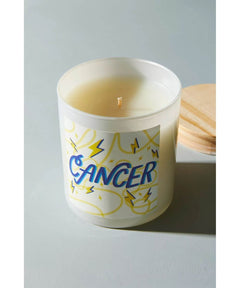 Wild Rose Shop Zodiac Candle - clearpathherbicide